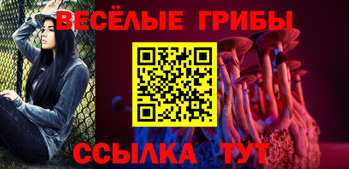 Псилоцибиновые грибы Psilocybine cubensis Белгород