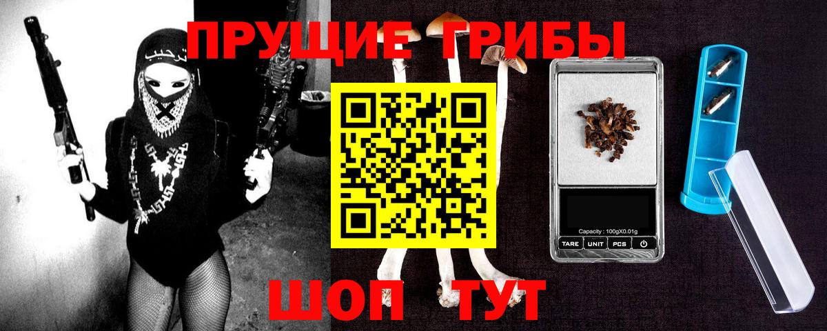 Белгород  Псилоцибиновые грибы GOLDEN TEACHER  Вход с VPN 